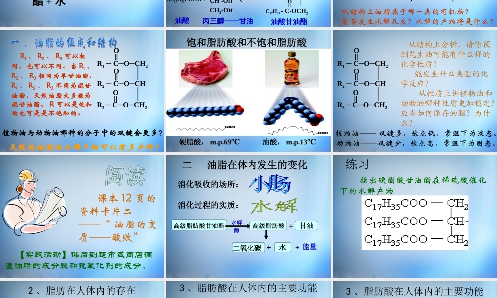 高中化学 1.2《重要的体内能源—油脂》课件 新人教版选修1.ppt