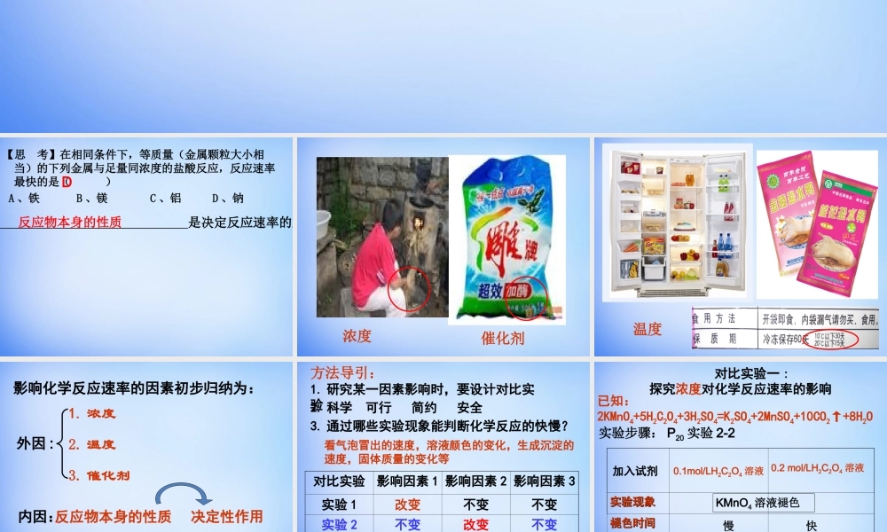 高中化学 2.2《影响化学反应速率的因素》课件1 新人教版选修4.ppt