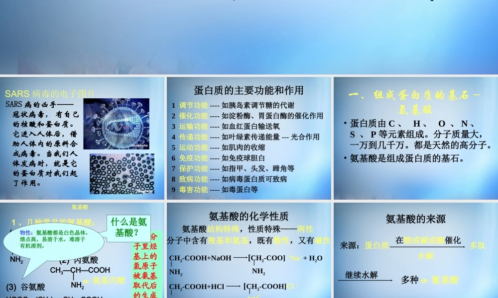 高中化学 1.3《生命的基础—蛋白质》课件 新人教版选修1.ppt