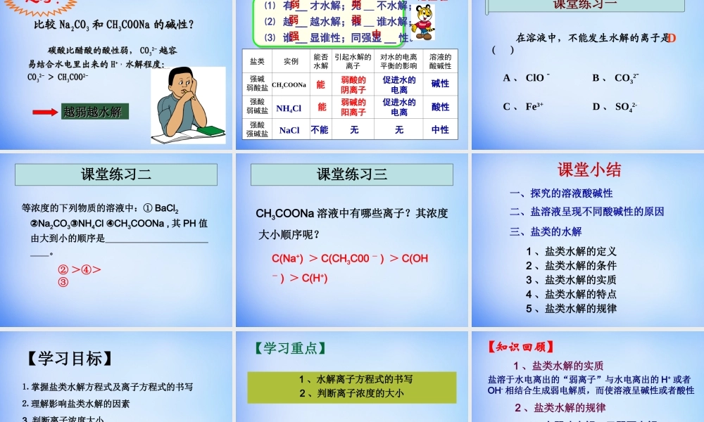 高中化学 3.3《盐类的水解》课件1 新人教版选修4.ppt