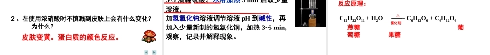 高中化学课件必修二《第三章 第四节 基本的营养物质》（共39张PPT）.ppt