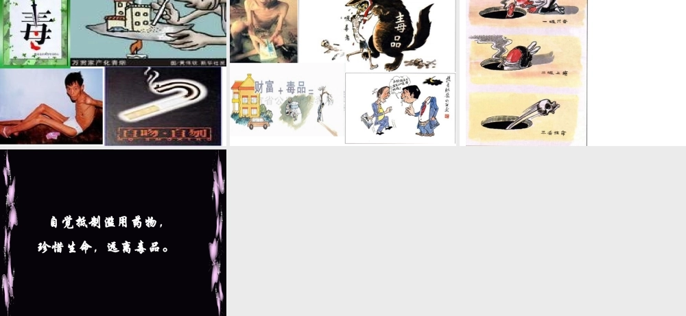 高中人教版化学选修1课件：第2章 第二节 正确使用药物17张ppt.ppt