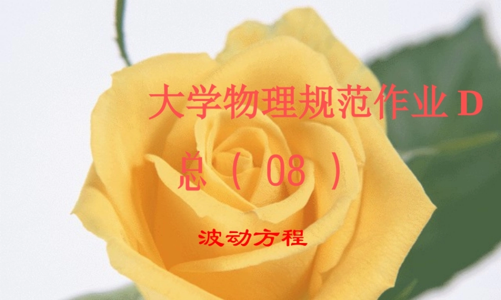 规范作业D(上)08波动.ppt