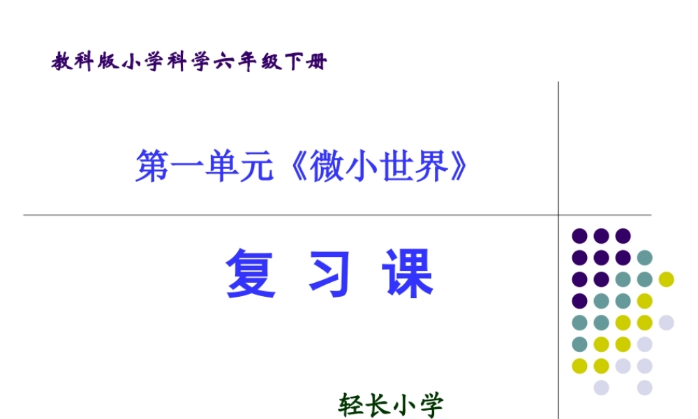 六下第一单元复习课 何莹莹.ppt