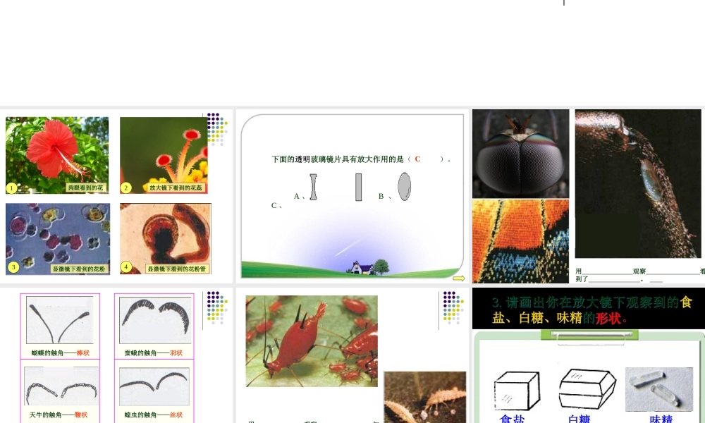 六下第一单元复习课 何莹莹.ppt