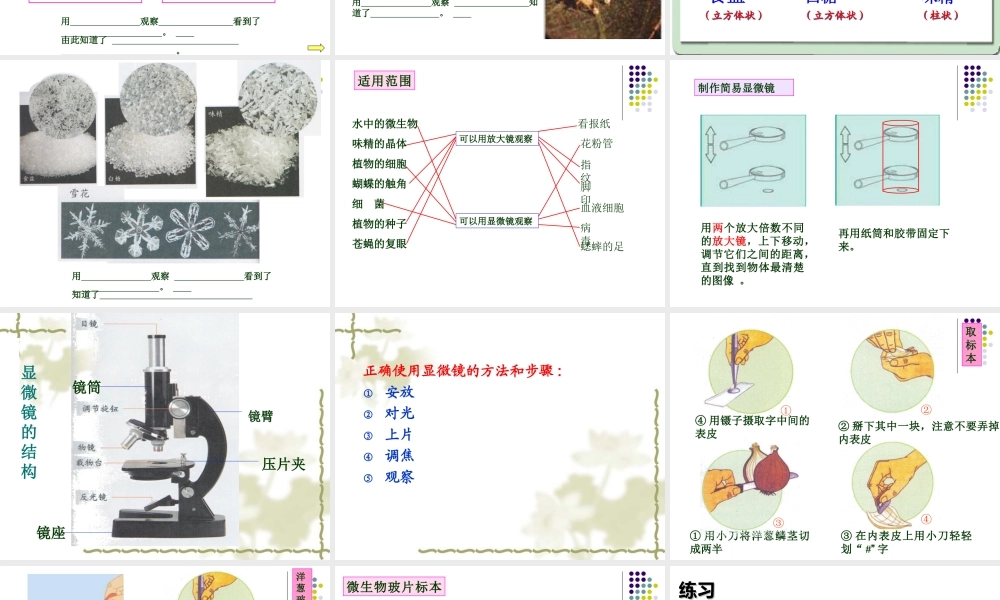 六下第一单元复习课 何莹莹.ppt