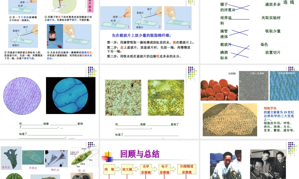 六下第一单元复习课 何莹莹.ppt