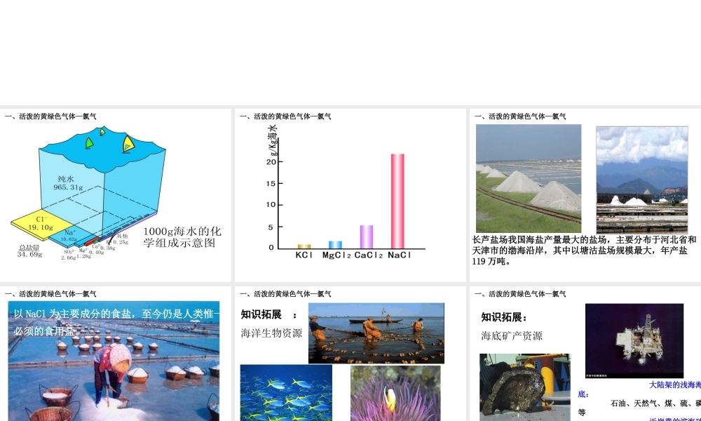 人教版高中化学必修1课件：4.2富集在海水中的元素—氯（第1课时） （共29张PPT） .ppt