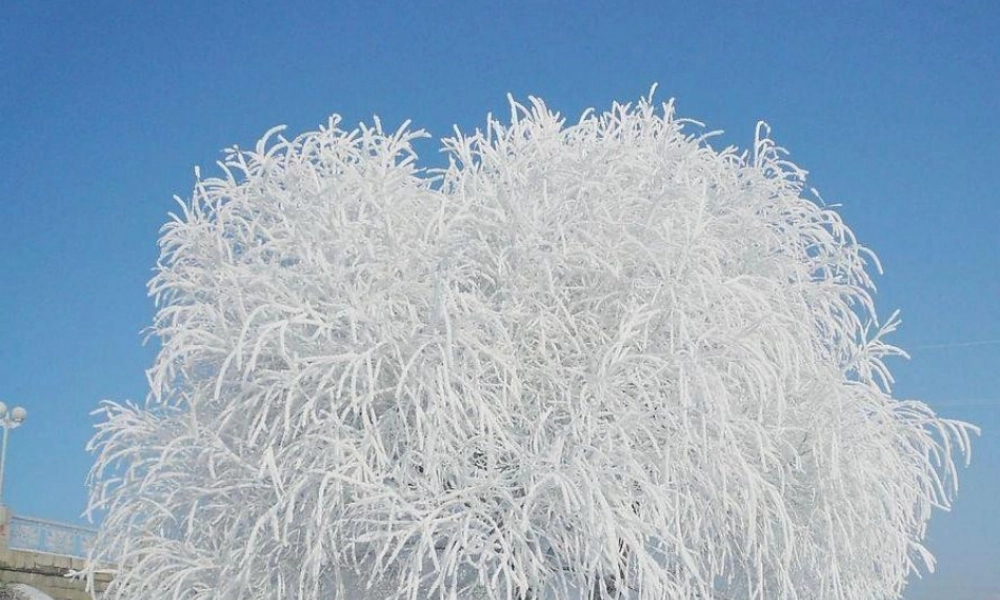 人教版高中化学选修三 3.1 晶体的常识（课件1）.ppt