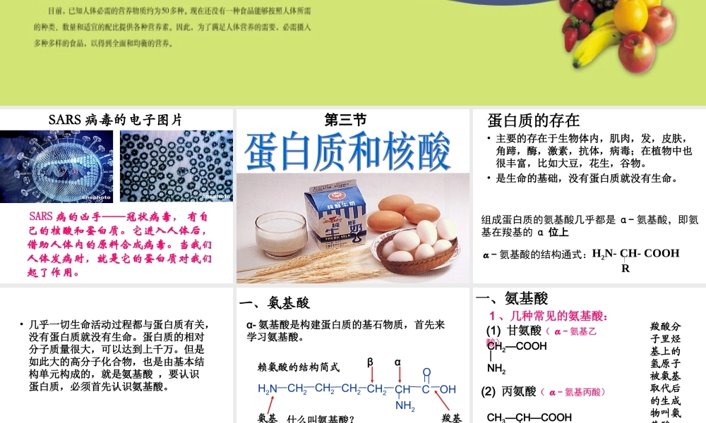 人教版化学选修5课件：4-3-1《蛋白质和核酸》（48张ppt） .ppt