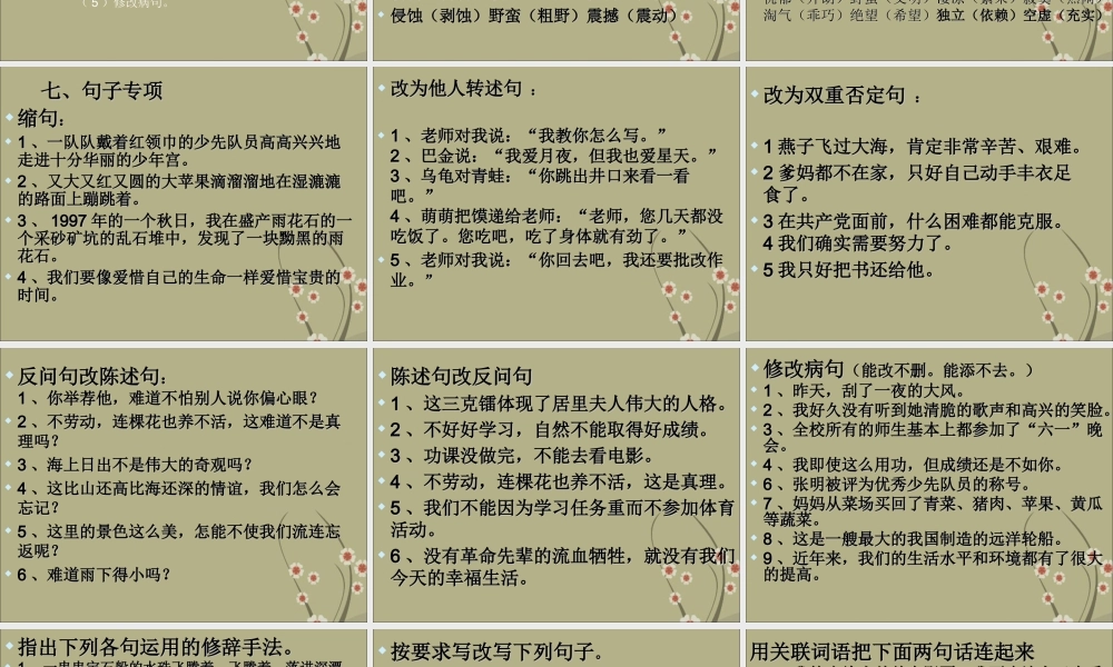 小升初语文复习重点.ppt