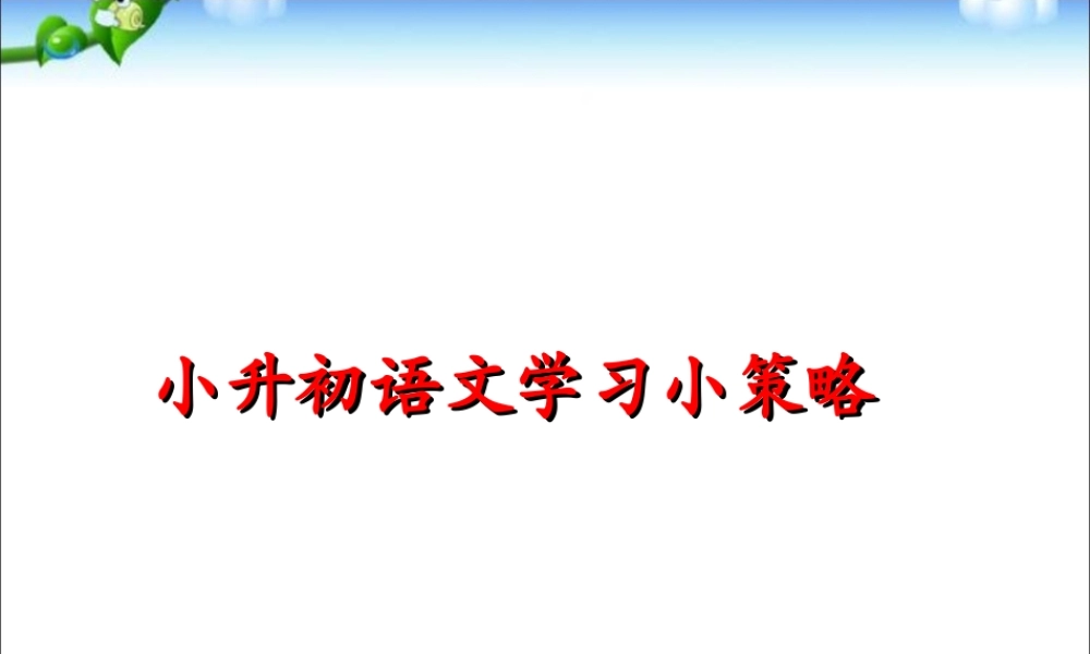 语文小升初复习小策略.ppt