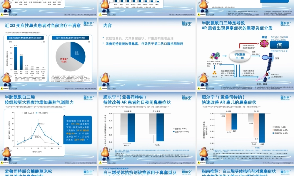 1.全程无忧 一路顺畅到底----- 顺尔宁(孟鲁司特钠)显著缓解变应性鼻炎患者的鼻塞、流涕、喷嚏及鼻痒.pptx