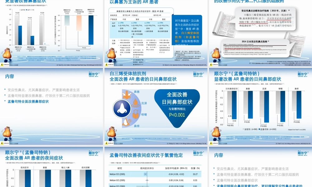 1.全程无忧 一路顺畅到底----- 顺尔宁(孟鲁司特钠)显著缓解变应性鼻炎患者的鼻塞、流涕、喷嚏及鼻痒.pptx