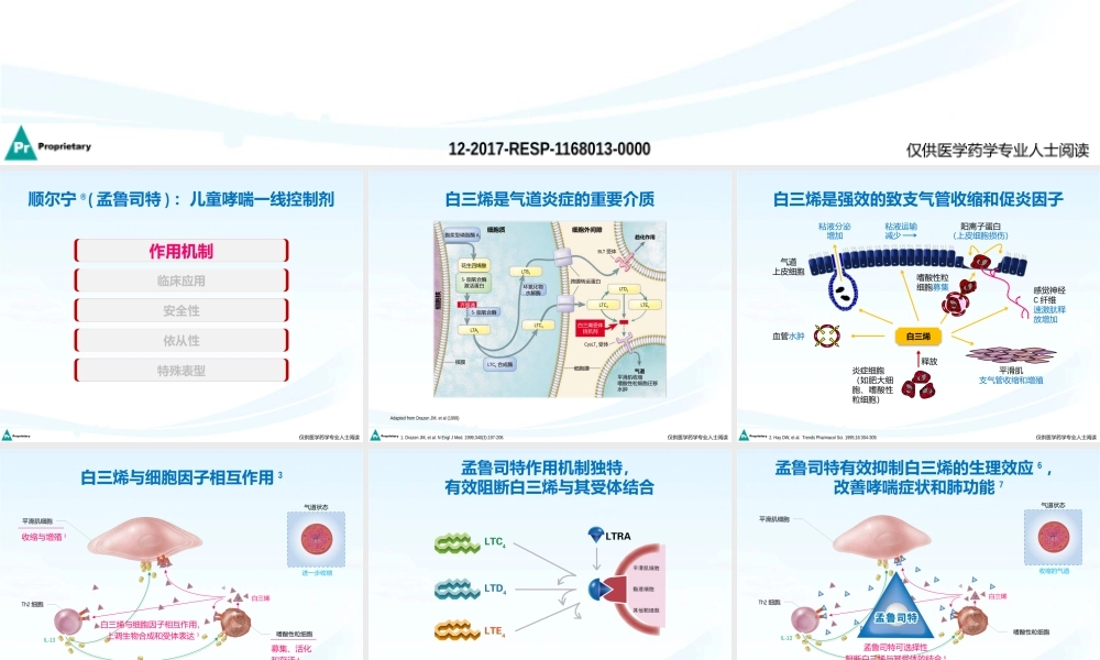 5儿童一线控制剂-----------顺尔宁 (孟鲁司特)——儿童哮喘一线控制剂.pptx