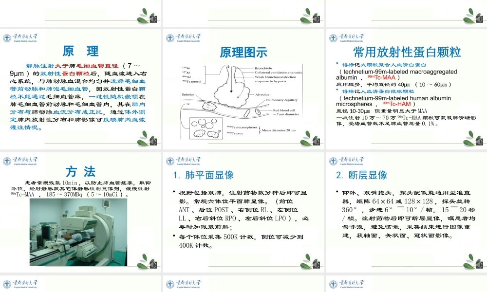 16本-2.17姚剑-呼吸系统(1).pptx
