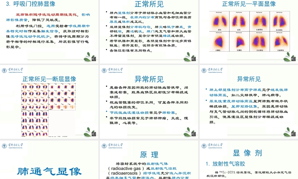 16本-2.17姚剑-呼吸系统(1).pptx