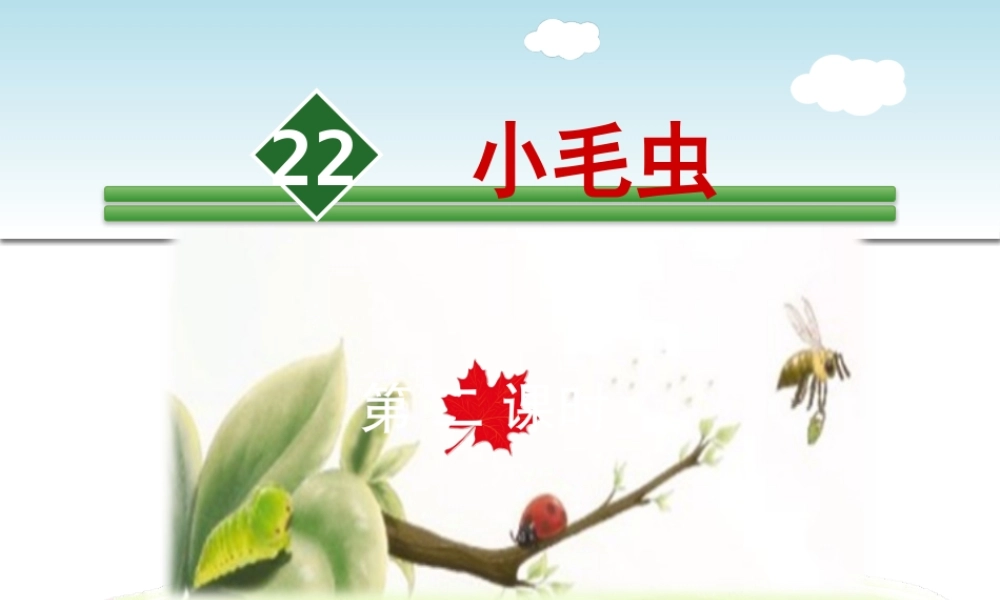 22.小毛虫【第2课时】.pptx