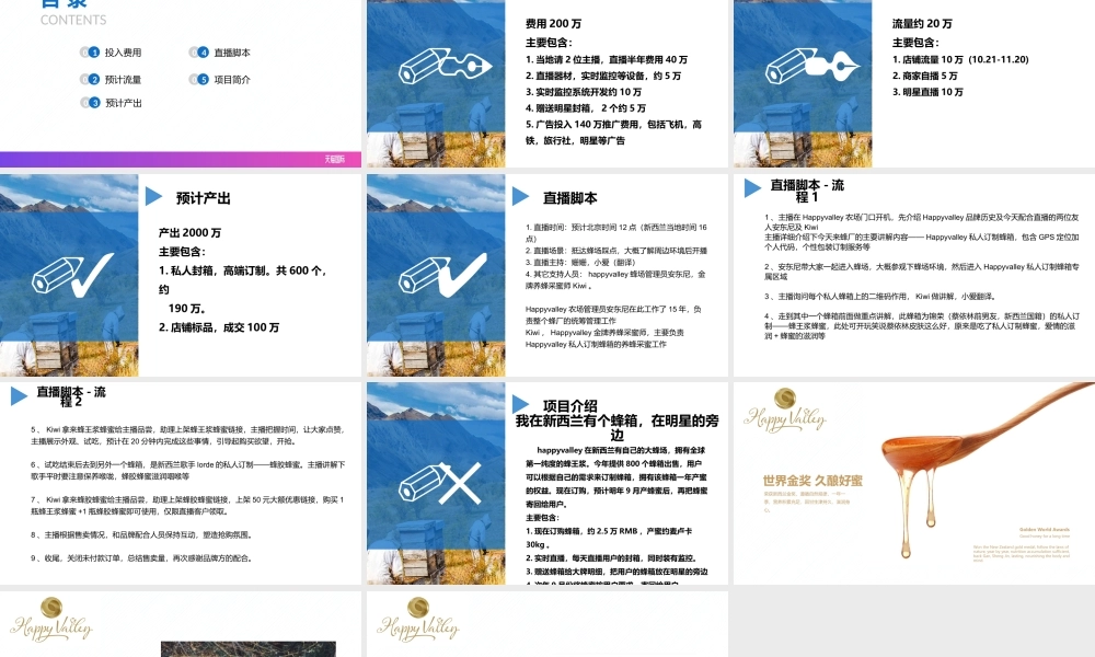 2020（直播）直播方案happyvalley海外旗舰店.pptx