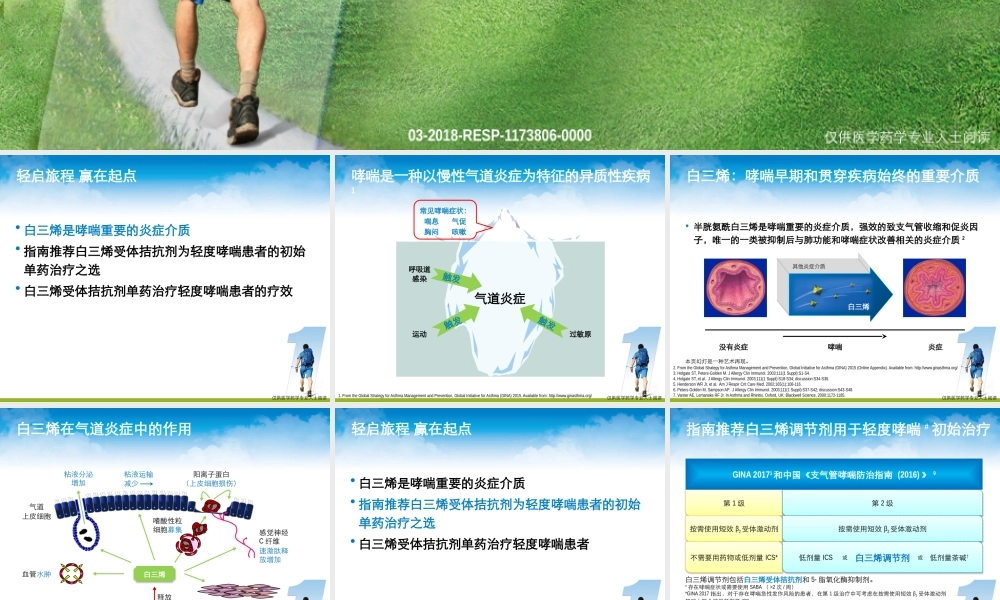 成人3.轻度一线-----------轻启旅程 赢在起点：顺尔宁 (孟鲁司特钠)——轻度哮喘患者的初始单药治疗之选.pptx