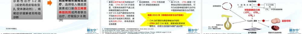 成人15.CVA+UACS-- ----从2015年中国慢咳诊治指南看LTRA在CVA和AR致UACS中的作用.pptx