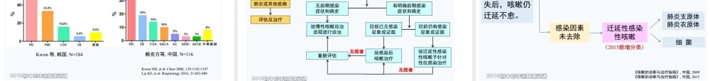 成人12.慢性咳嗽-----------咳嗽的诊断与治疗指南概述（2015）.pptx