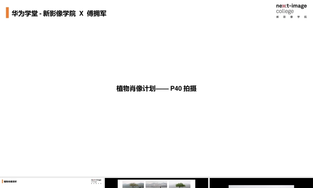 植物肖像计划-携傅拥军联合开发（备课版）(1).pptx