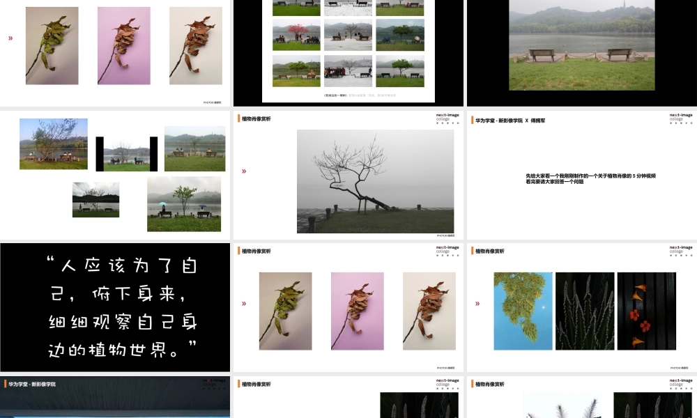 植物肖像计划-携傅拥军联合开发（备课版）(1).pptx