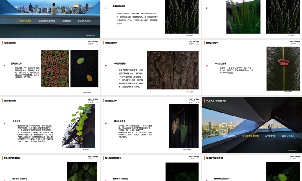 植物肖像计划-携傅拥军联合开发（备课版）(1).pptx