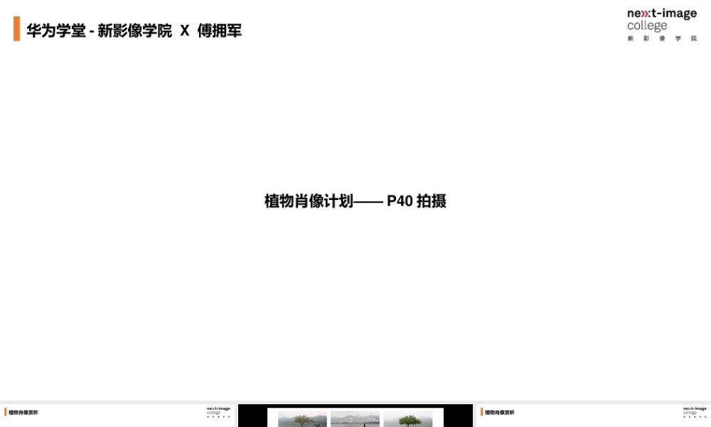 植物肖像计划-携傅拥军联合开发（授课版）(1).pptx