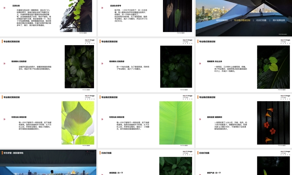 植物肖像计划-携傅拥军联合开发（授课版）(1).pptx