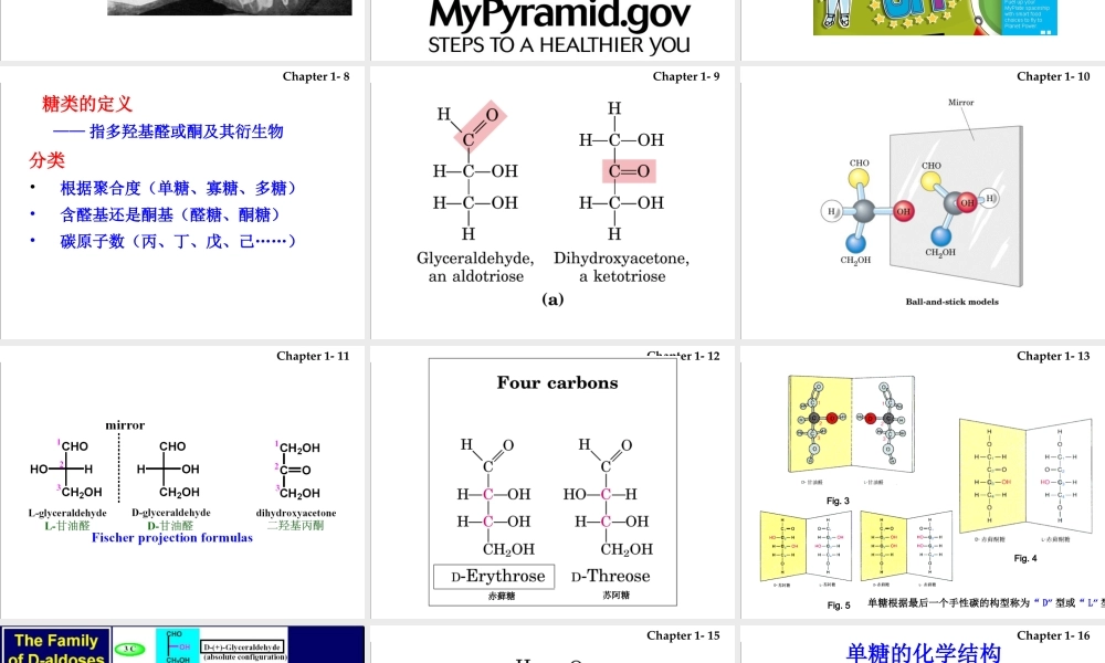 1 carbohydrates(1)糖.ppt