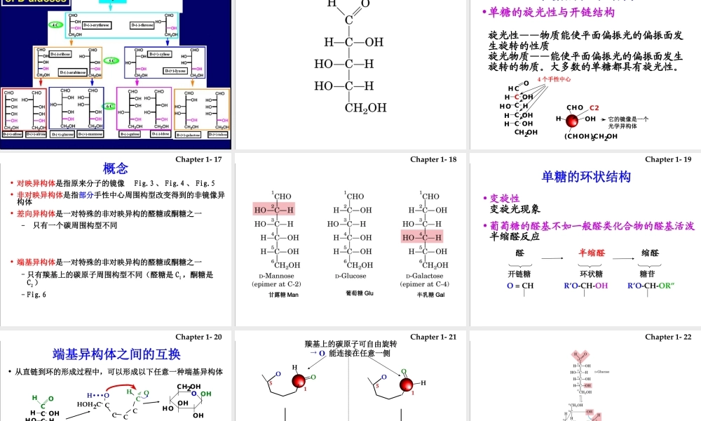 1 carbohydrates(1)糖.ppt