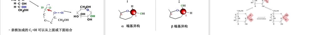 1 carbohydrates(1)糖.ppt