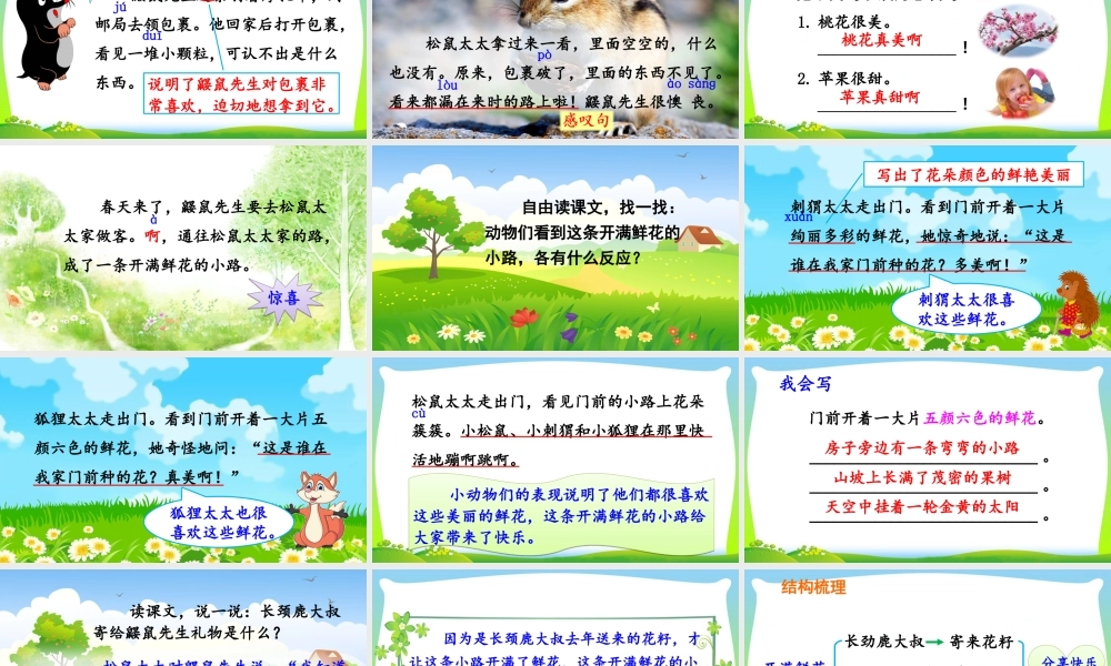 3 开满鲜花的小路.ppt