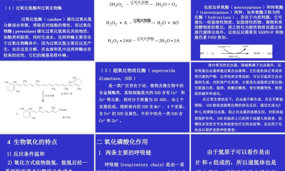 05-1第五章biological oxidation.ppt