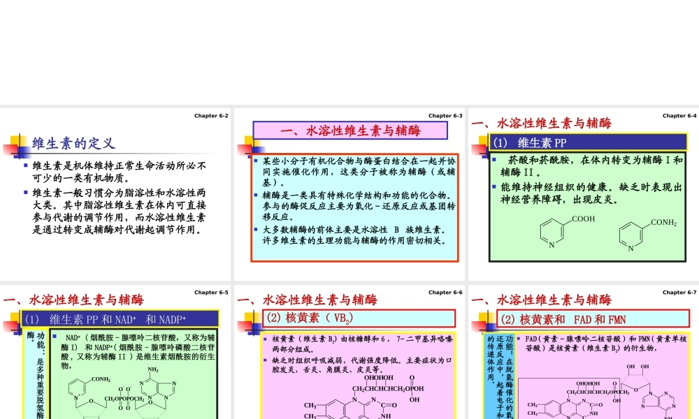 6 vitamins(1)维生素.ppt