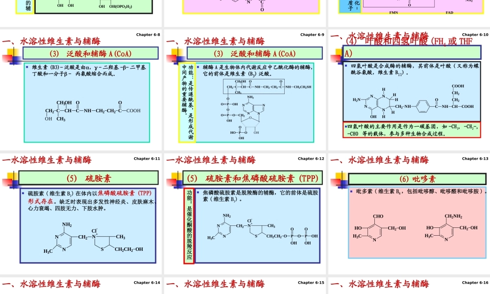 6 vitamins(1)维生素.ppt