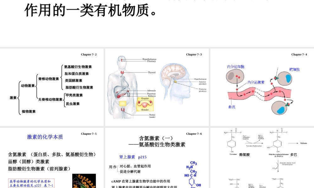 7 hormones激素.ppt