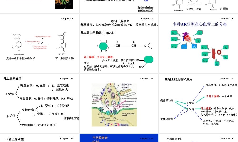 7 hormones激素.ppt