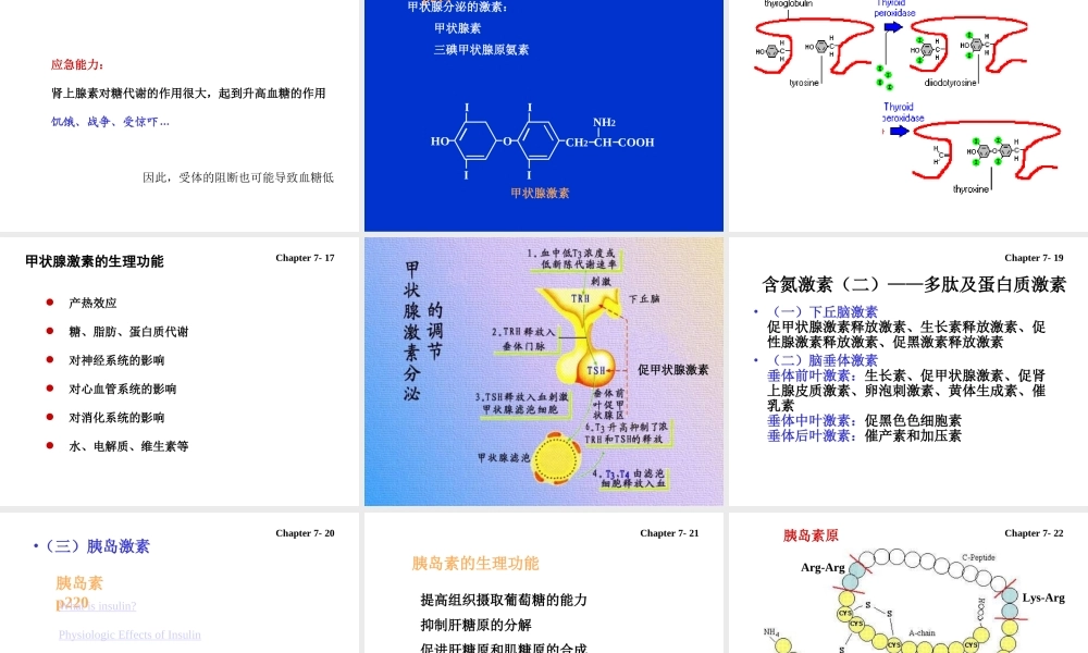 7 hormones激素.ppt
