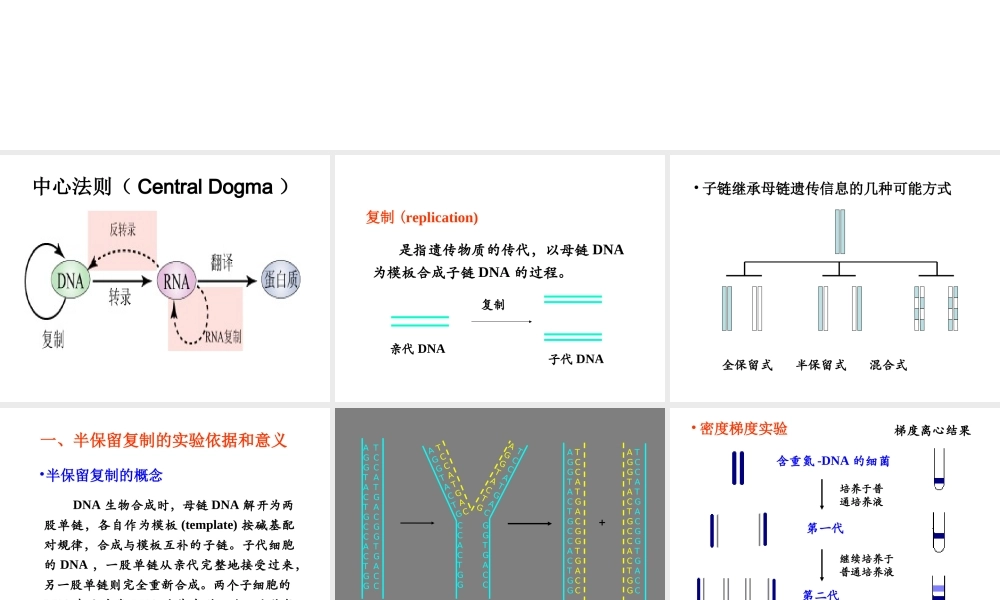 09第九章 复制.ppt
