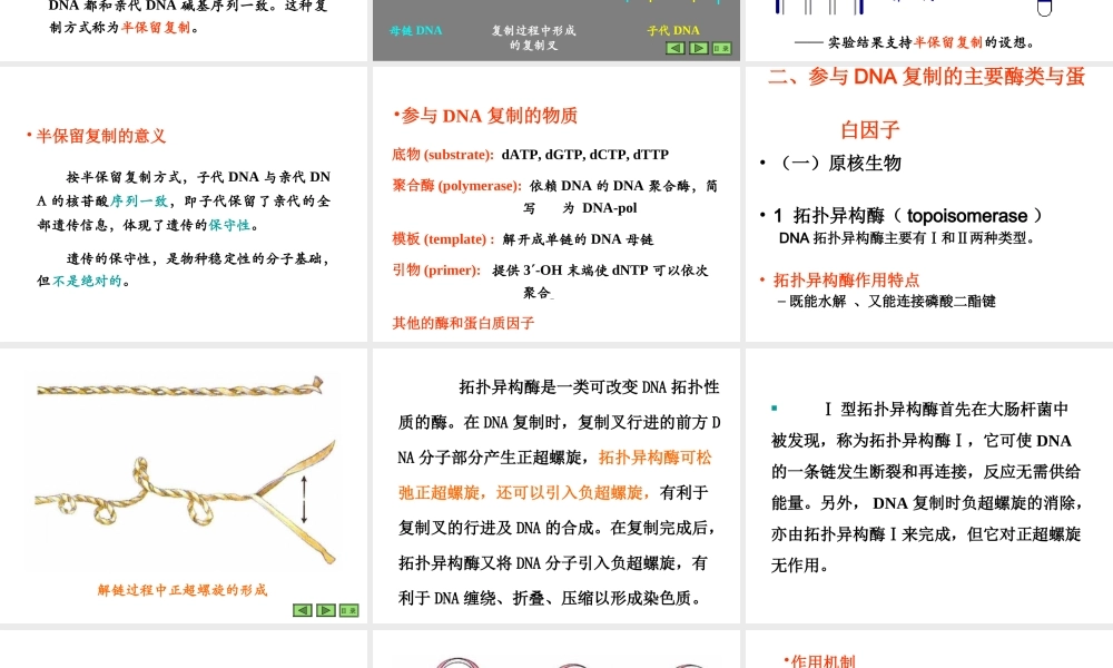 09第九章 复制.ppt