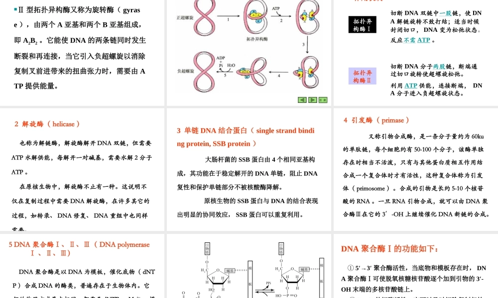 09第九章 复制.ppt
