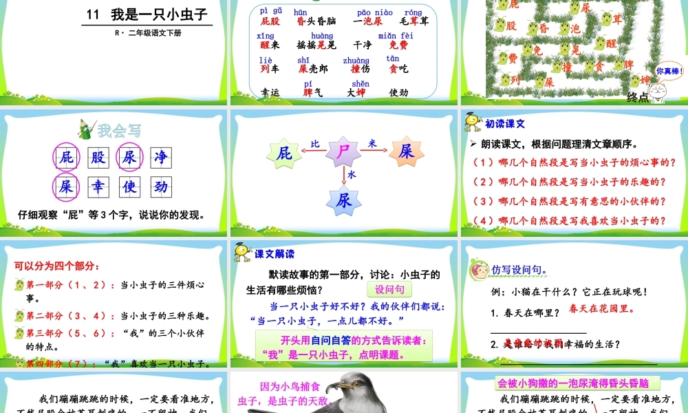 11 我是一只小虫子.ppt