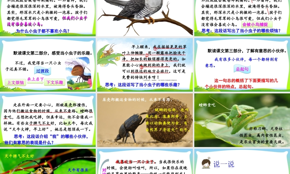 11 我是一只小虫子.ppt