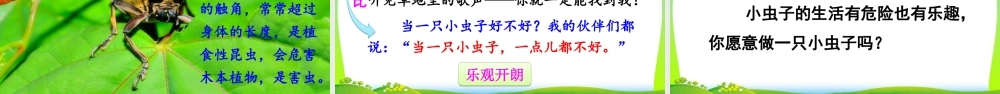 11 我是一只小虫子.ppt