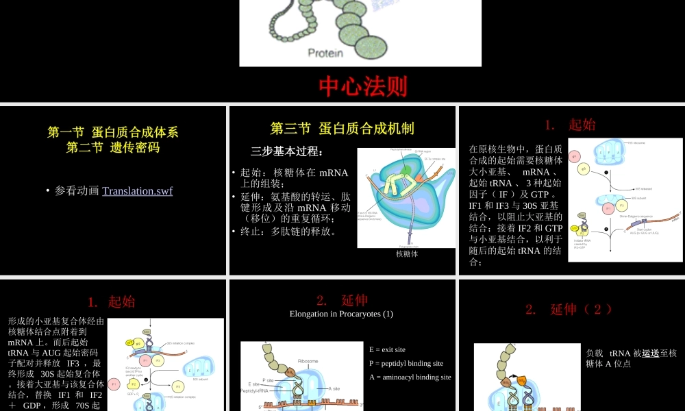 biosynthesis of protein.ppt