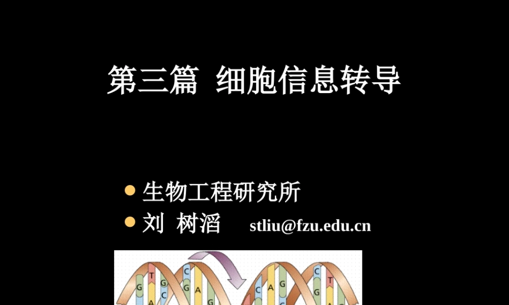 DNA replication DNA的生物合成.ppt