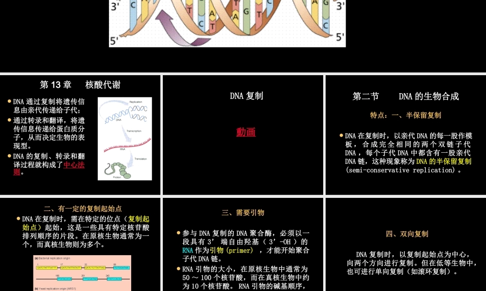 DNA replication DNA的生物合成.ppt